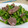 gundogs's cooksnap of when they made 砂肝とピーマンの和え物.