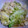 ゆきらっくま's cooksnap of when they made 簡単、美味◎キャベツの卵とじ.