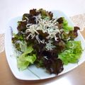 えるえる２８６'s cooksnap of when they made シンプルだけど美味しい♡レタスサラダ.