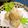 ちわここ's cooksnap of when they made お出汁で食べる＊じゃがたこチーズボール.