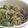 umemodoki's cooksnap of when they made ☆豚肉と野菜たっぷり中華炒め☆.