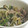 umemodoki's cooksnap of when they made ☆豚肉と野菜たっぷり中華炒め☆.