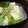 そらてんママ's cooksnap of when they made 玉子豆腐のお吸い物.