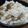 たけさい's cooksnap of when they made 栗ご飯.