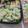 miyuki12's cooksnap of when they made 菜の花畑みたい♪いり卵と小松菜の菜飯.