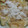 ともちんっ's cooksnap of when they made 揚げ餅のみぞれすき.