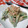 ＊sanacchi＊'s cooksnap of when they made おくらの梅マヨ和え☆.