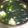shiro＊'s cooksnap of when they made すごく簡単５分レシピ☆わかめスープ☆.