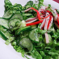 羽尼うに's cooksnap of when they made もやしときゅうりのごま酢のもの.