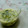 ぐるぐるる's cooksnap of when they made 釜揚げしらすと生青のりの茶わん蒸し.