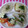 るらちゃん's cooksnap of when they made 大根とツナの青のりマヨ和え.