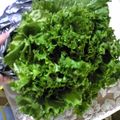 gojira_minira's cooksnap of when they made シャキーン☆しなびたグリーンリーフが変身.
