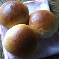 わかこた's cooksnap of when they made バク家の基本のパン生地.