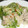うぃしゅか's cooksnap of when they made 中華街の本格チンジャオロース（上海編）.