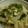 こじゅまさ's cooksnap of when they made ★たまねぎいりたまご★.