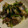 boofoochee's cooksnap of when they made 簡単中華風！あさりと青菜の炒め物.