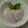 ｋｏｂｕｔａのしっぽ's cooksnap of when they made 簡単♪ｼﾞｬﾑdeﾖｰｸﾞﾙﾄﾑｰｽ.