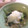 梅衣mama's cooksnap of when they made ☆小松菜とえのきのバターポン酢炒め☆.