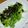 yukanosuke's cooksnap of when they made レタスと海苔のサラダ!?.
