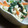 あちゃ's cooksnap of when they made ほうれん草の白和え.