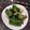 Coco☆ne's cooksnap of when they made 超簡単▶ピリ辛◀やみつききゅうり.