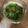 こよりんりん's cooksnap of when they made 万願寺唐辛子の簡単おかか和え.