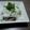 ﾓﾄﾌｨｰﾙﾄﾞ's cooksnap of when they made 鶏と新玉ねぎの南蛮漬け.