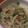 ミーリュウ's cooksnap of when they made もやしとニラのごまおひたし.