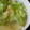 亜耶華's cooksnap of when they made ジャガイモとキャベツの卵とじ.