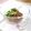 矢切のねぎちゃん's cooksnap of when they made 納豆に浅漬け.