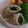 ＊まめゴマ＊'s cooksnap of when they made 豚のシソ巻き　土間○間風～☆.