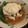 さんぱうろ's cooksnap of when they made レンジで簡単～かぶら蒸し.