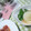 ハル猫食堂's cooksnap of when they made ベトナム風★新玉ねぎの丸ごと簡単スープ.