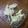 ふろねこ's cooksnap of when they made さつま芋の白和え☆きな粉風味.
