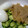 とみィ's cooksnap of when they made □　きゅうりとメンマで　■　おつまみ　□.