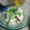ＴＯＭＯＷＡＴ's cooksnap of when they made イカとねぎのマヨネーズ和え.