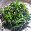 SORAKH's cooksnap of when they made 超簡単ほうれん草のゴマしらす.