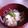 あい葉's cooksnap of when they made ダイエット！簡単スンドゥブ春雨☆.