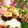 Hananohi's cooksnap of when they made 簡単もやしゆかり和え♪お弁当のすき間に.