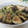 miyuki12's cooksnap of when they made 中華風ゴマだれ★豆板醤（覚書）.