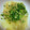 kmmy0629's cooksnap of when they made もっちもち♪もちピザ.