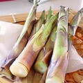1630412's cooksnap of when they made あま旨い♪タケノコの素焼き（姫竹・笹竹）.