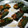 xyzxyzxyzx's cooksnap of when they made 鯵のさんが焼き.