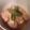 EricaTane's cooksnap of when they made 鶏のアセロラ煮.