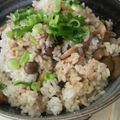 CoffeeCoco's cooksnap of when they made しらす&キノコの混ぜ混ぜ丼.