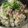 CoffeeCoco's cooksnap of when they made しらす&キノコの混ぜ混ぜ丼.