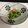 vegemoon's cooksnap of when they made 壬生菜のおひたし.