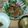 のき。's cooksnap of when they made 豚肉の生姜焼き.