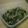 うさまる。。's cooksnap of when they made ホウレン草とモヤシのナムル風.
