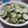 megurinko's cooksnap of when they made とまらないオカカきゅうり＊胡麻マヨ.